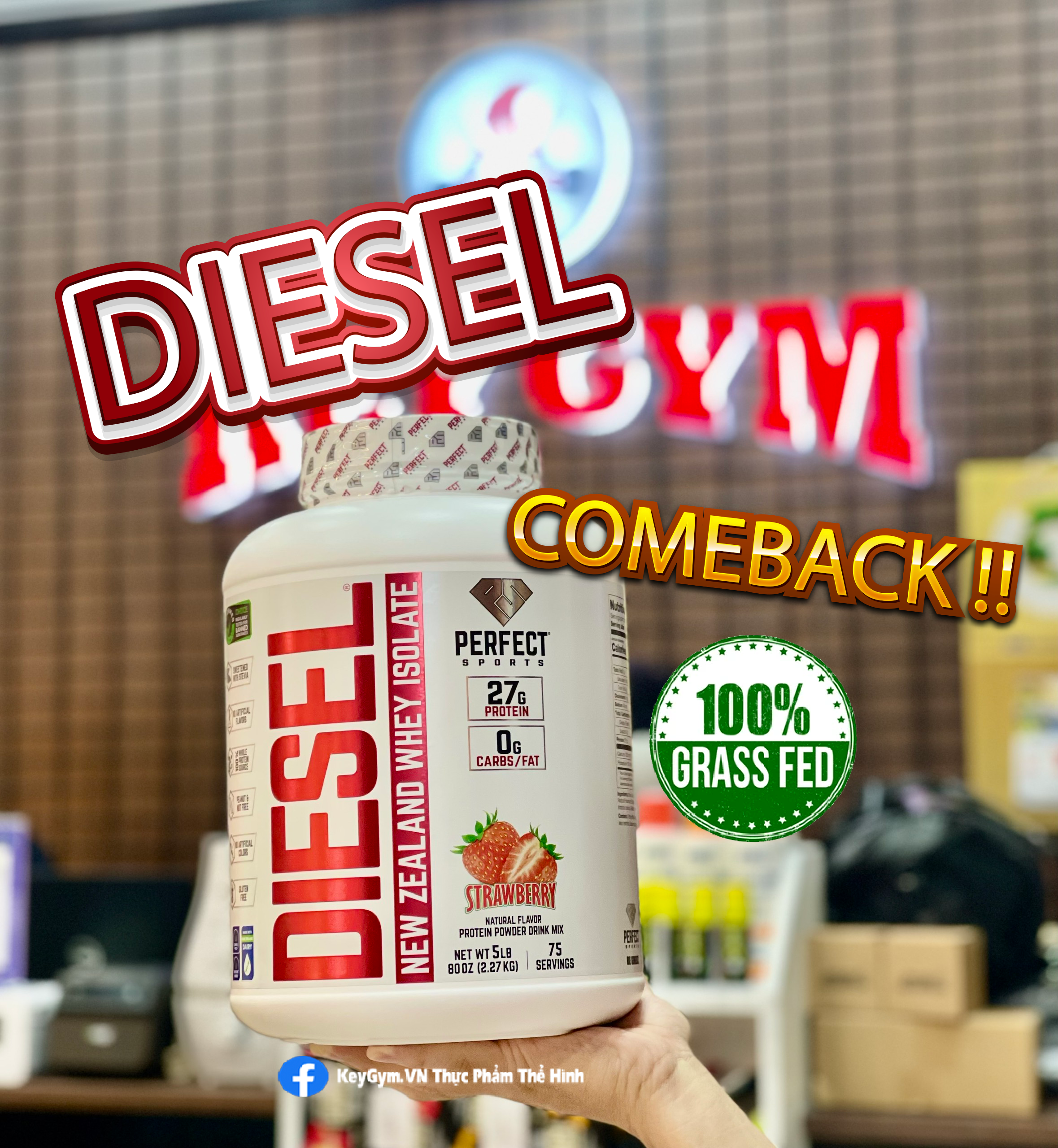 Diesel Whey Isolate New Zealand