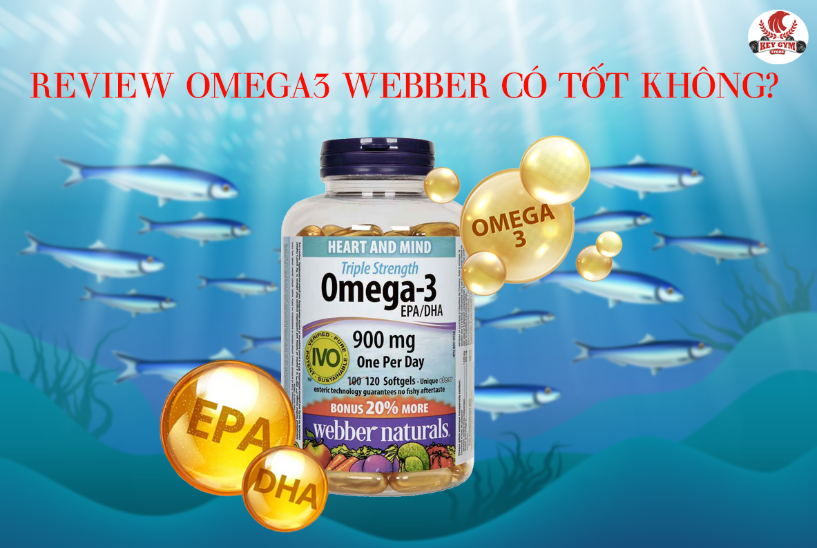 Đánh giá dầu cá Omega 3 Webber 900mg có tốt không? So sánh với các loại thông thường như Now, Ostrovit.
